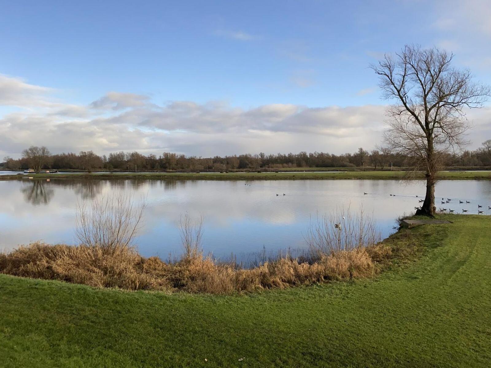 Recreatiepark En Jachthaven De Scherpenhof Terwolde ห้อง รูปภาพ